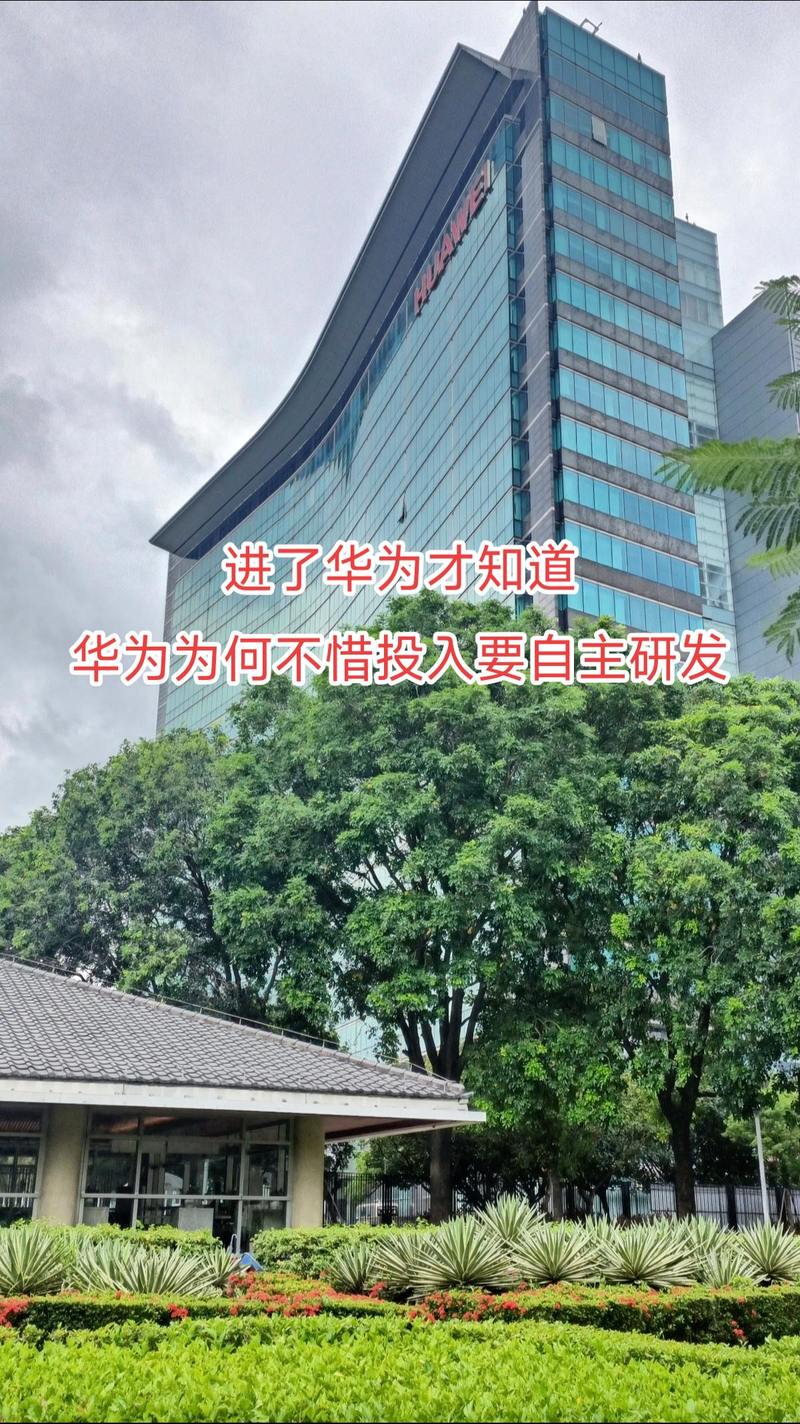 鑫蕾信息咨询工作室抖音号 让专业信息咨询服务触手可及